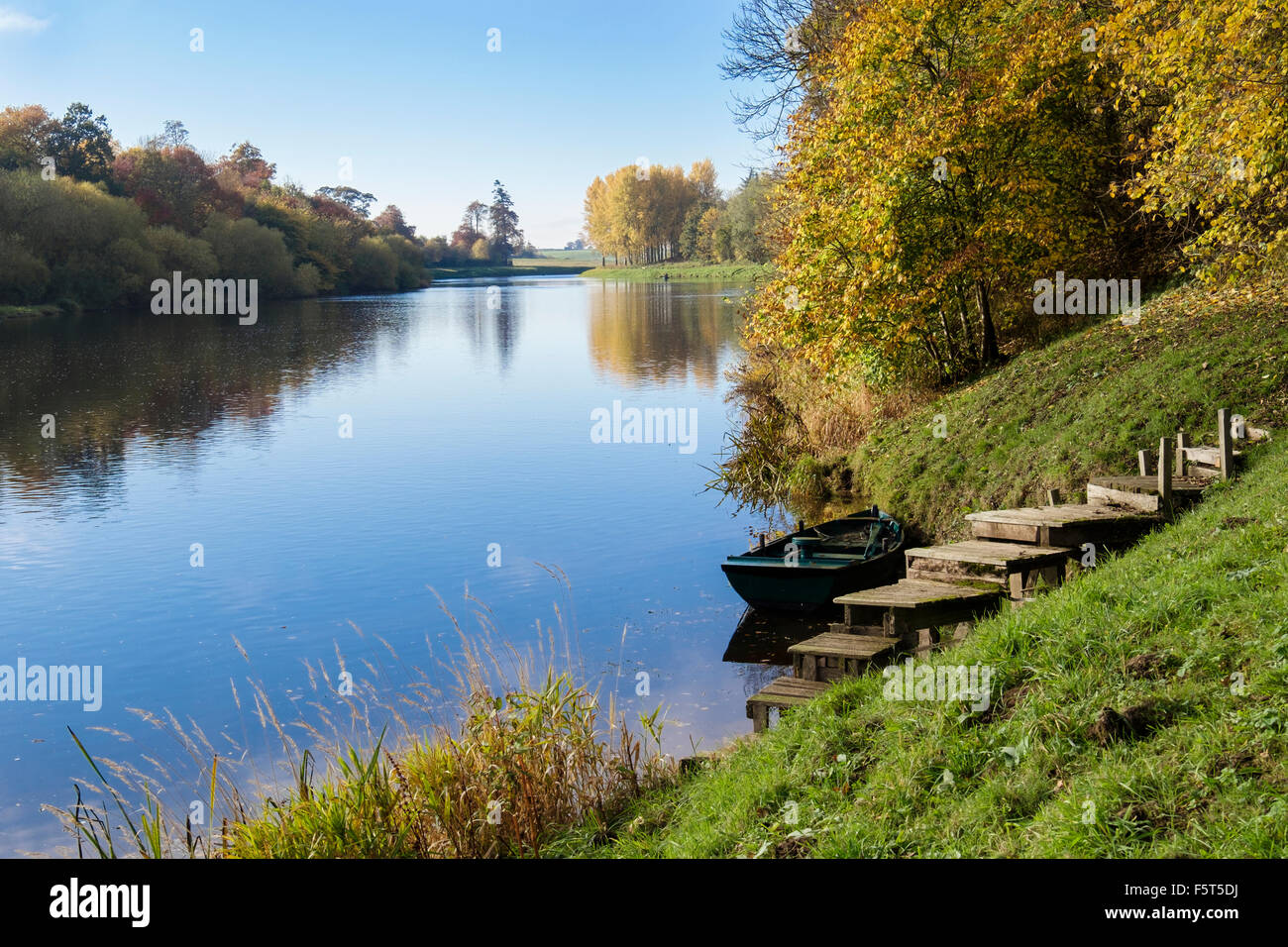 Blick entlang der ruhigen Gewässer des Flusses Tweed im Herbst in der Nähe von Kelso, Berwickshire, Schottland, Schottland, UK, Großbritannien Stockfoto