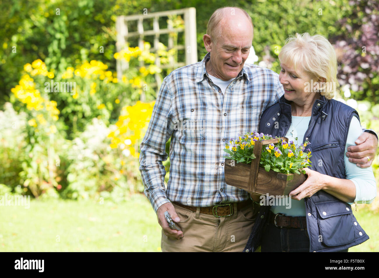 Älteres Paar zusammen im Garten arbeiten Stockfoto