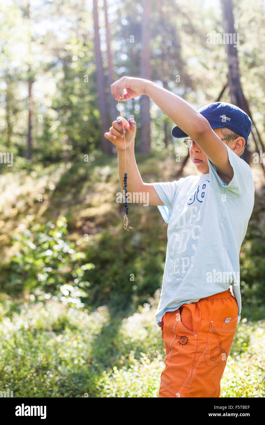 Finnland, Paiijat-Hame, Konnivesi, Boy (10-11) threading Heidelbeere auf string Stockfoto