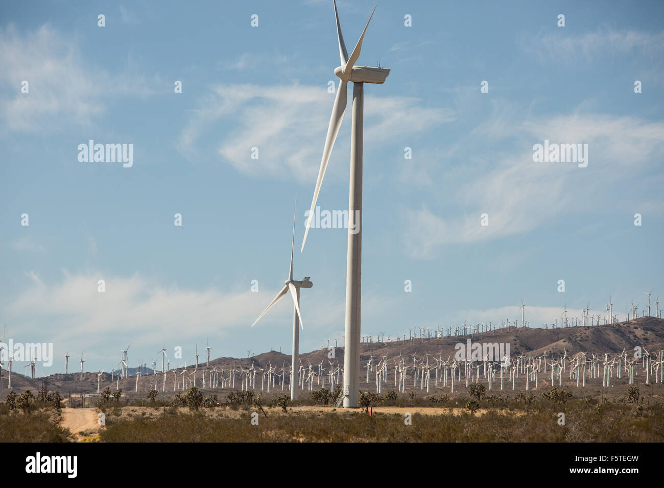 Die Alta Wind Energy Center in Kern County, Kalifornien. Stockfoto