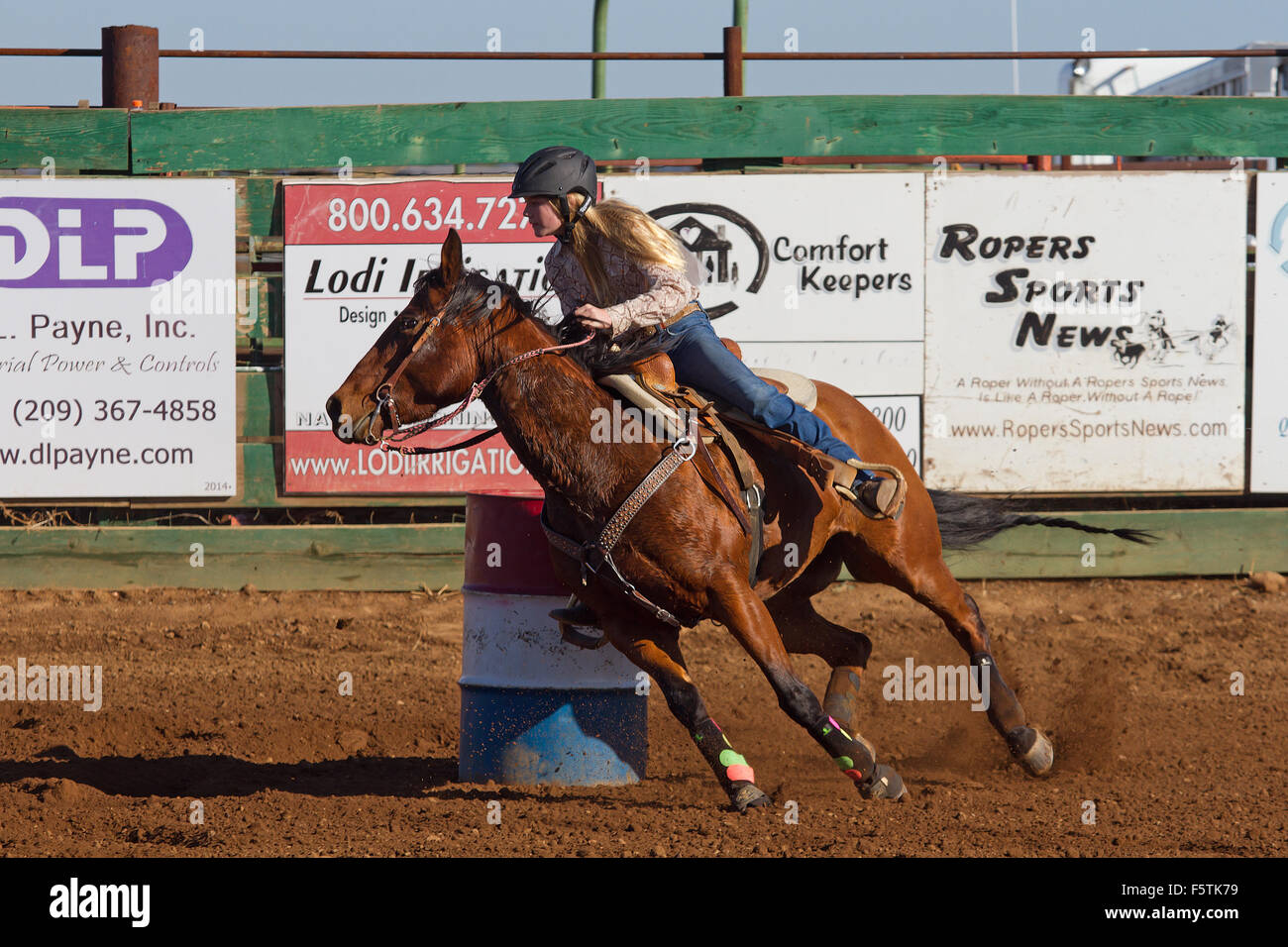 Junge Frauen konkurrieren in Faßlaufen auf den Lincoln, Kalifornien Rodeo Grounds. Stockfoto