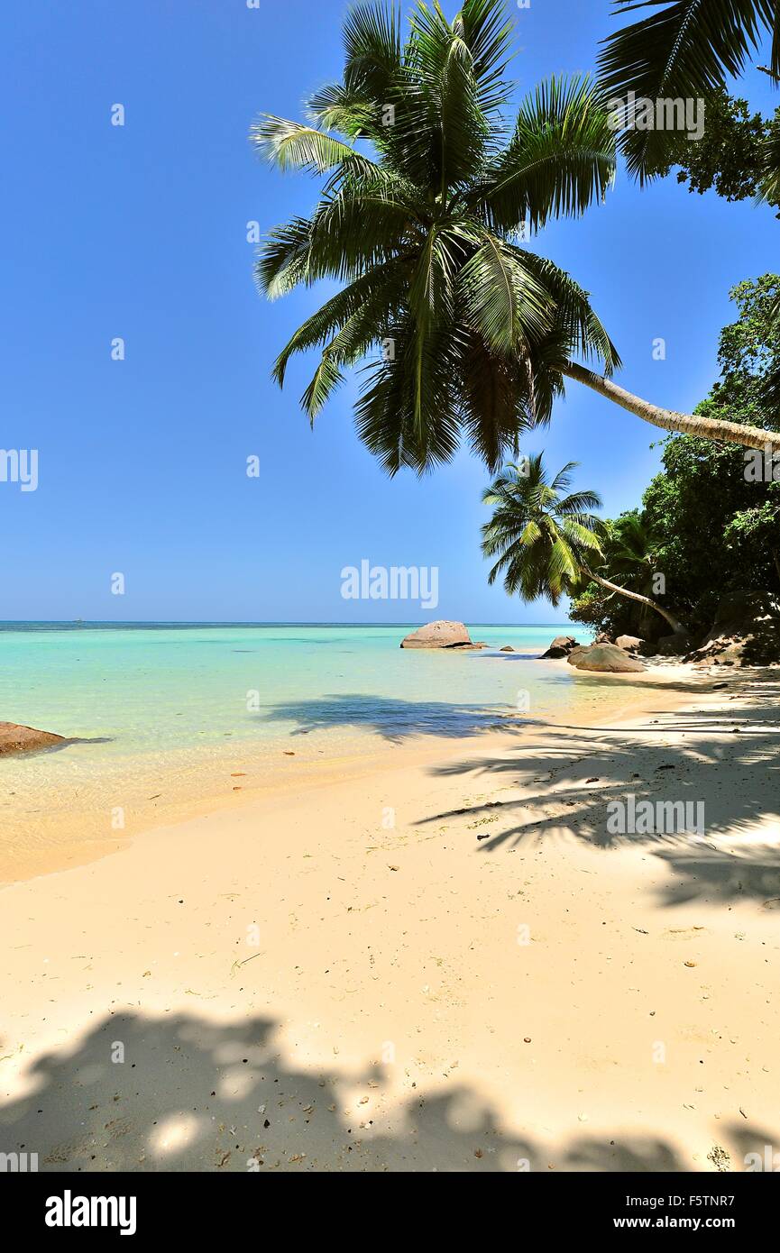 Strand von Anse À la Mouche, Insel Mahe, Seychellen Stockfoto