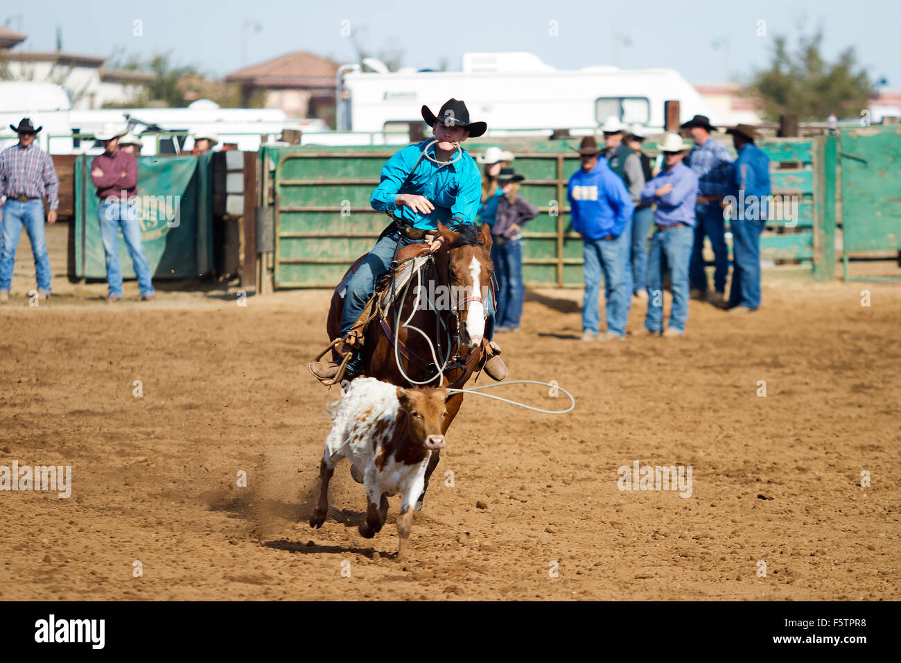 Junge Frauen konkurrieren in Faßlaufen auf den Lincoln, Kalifornien Rodeo Grounds. Stockfoto