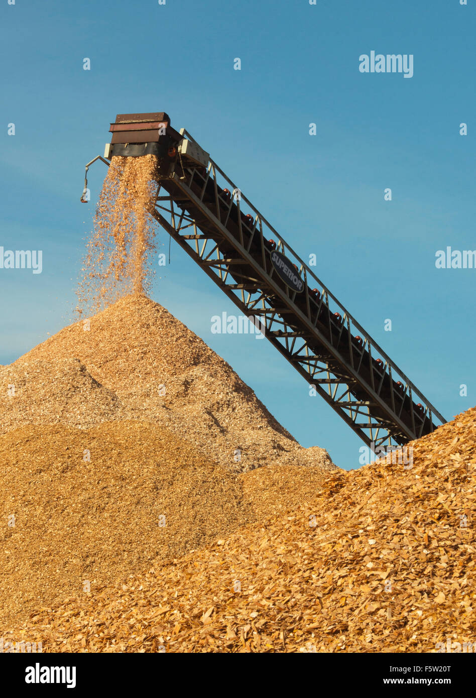 Holz Boden in Chips für Teilchen Board Herstellung, Port Angeles, Washington Stockfoto