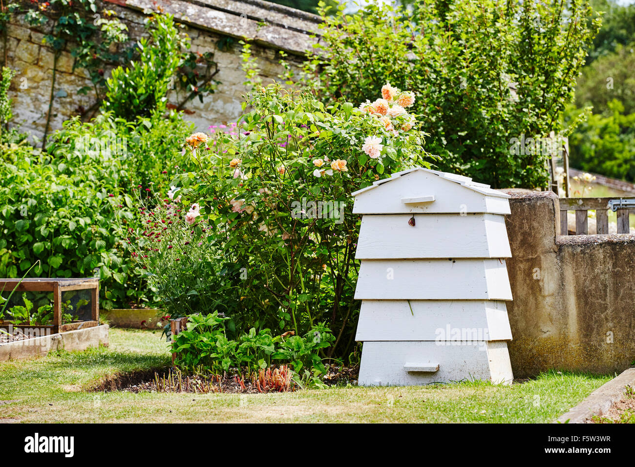 Weiße Holz Kompost in den Gärten von Easton Walled Gardens, Easton, Grantham, Lincolnshire, England, UK. Stockfoto