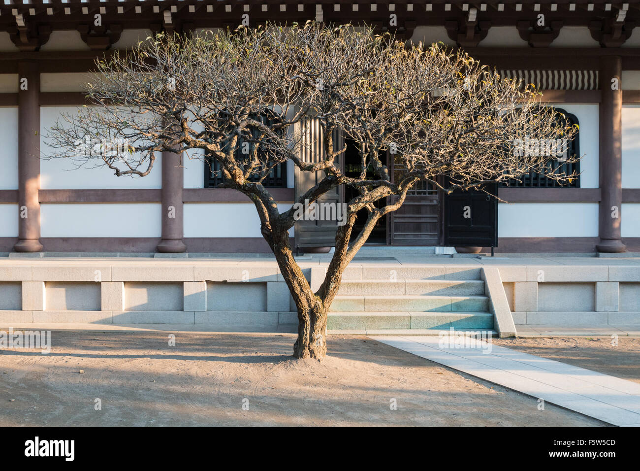 Reisen nach Japan Stockfoto