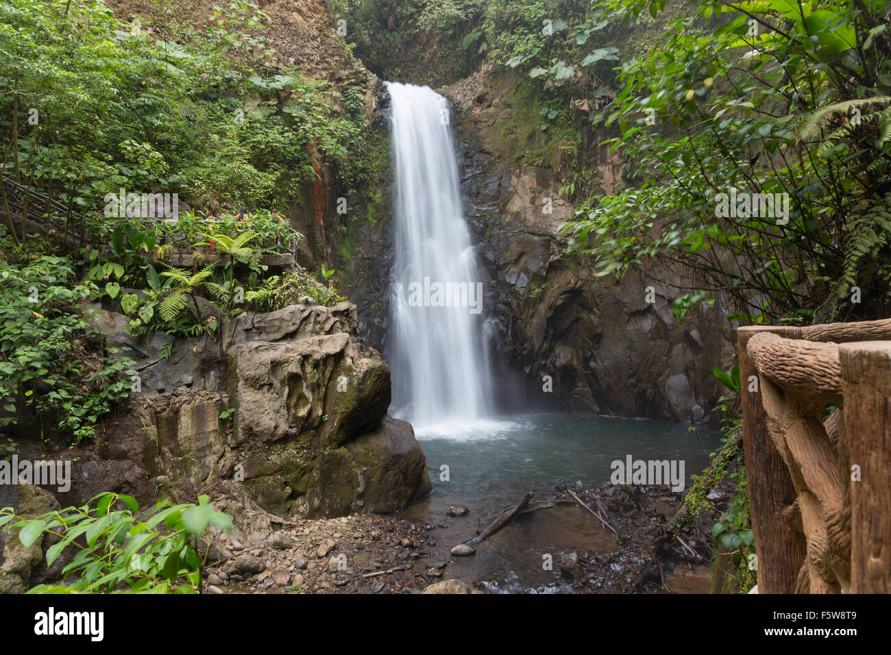 Fernblick über verschwommenes La Paz Wasserfall unter dem Regenwald, Costa Rica Stockfoto
