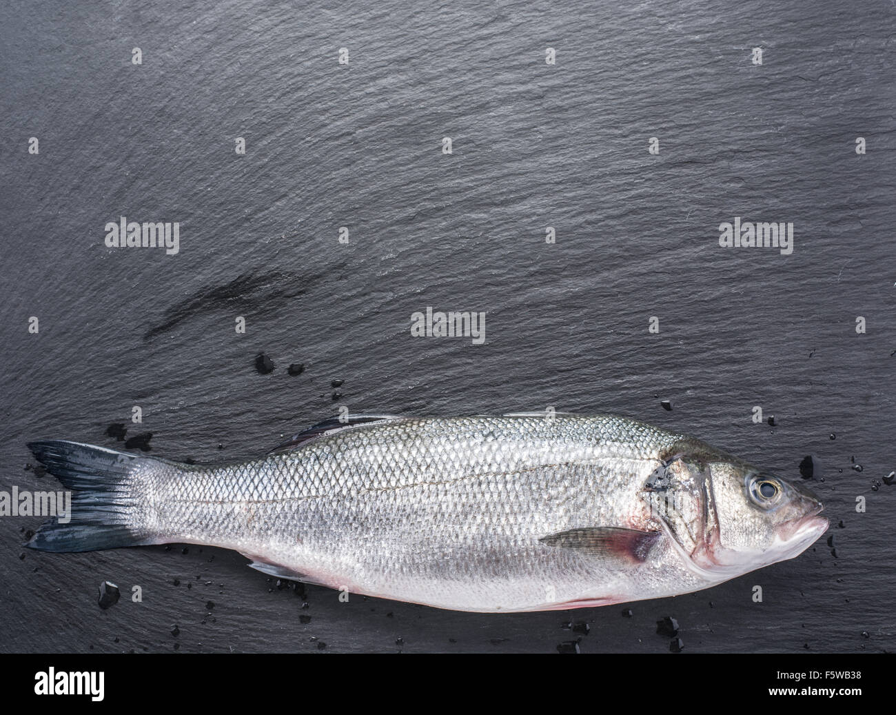 Roher Seebarsch Fisch auf dem Graphit-Brett. Stockfoto