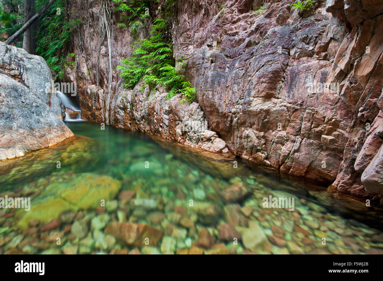 Crystal clear Creek im El Questro Gorge. Stockfoto