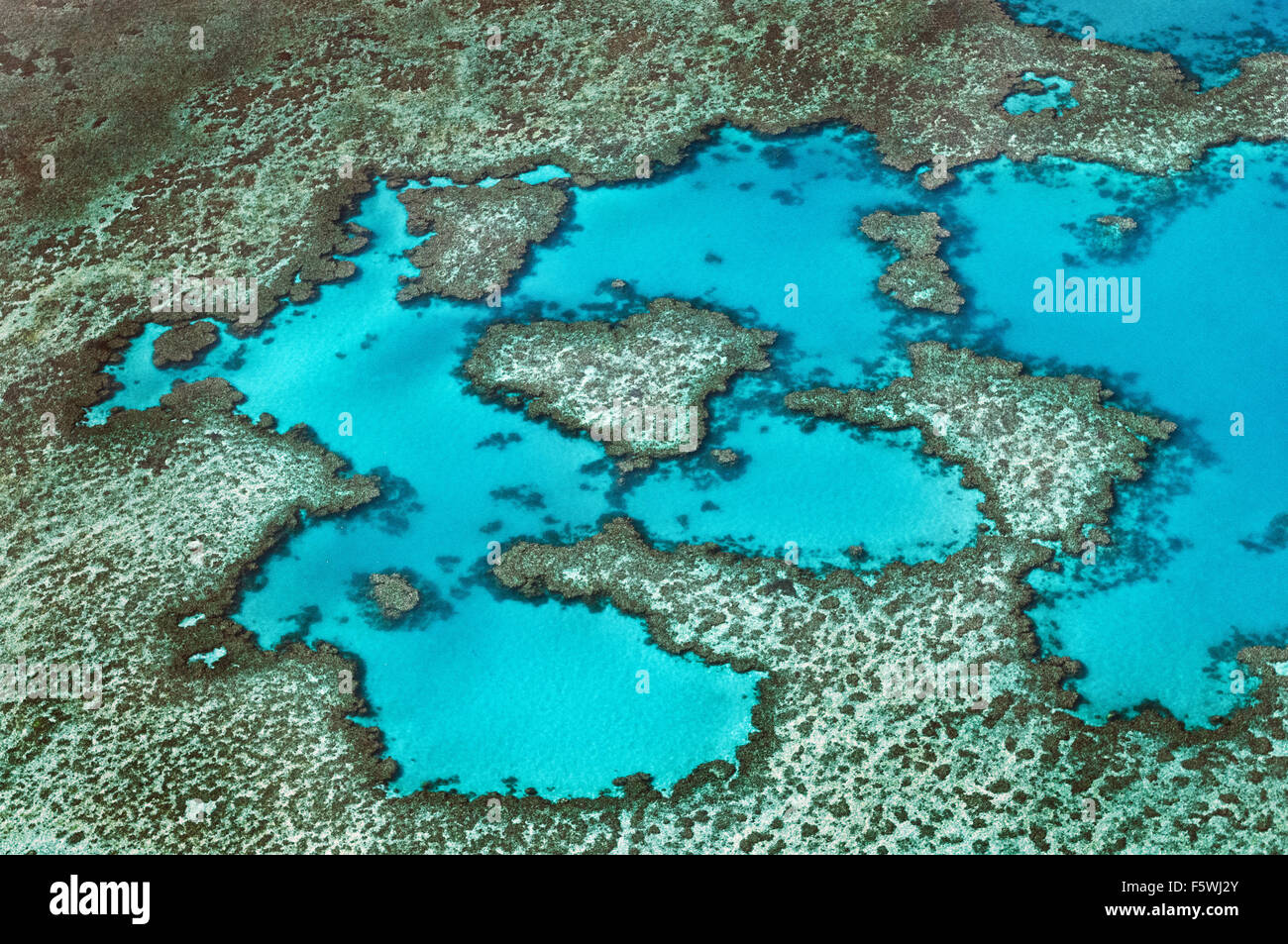 Lagune im berühmten Great Barrier Reef. Stockfoto