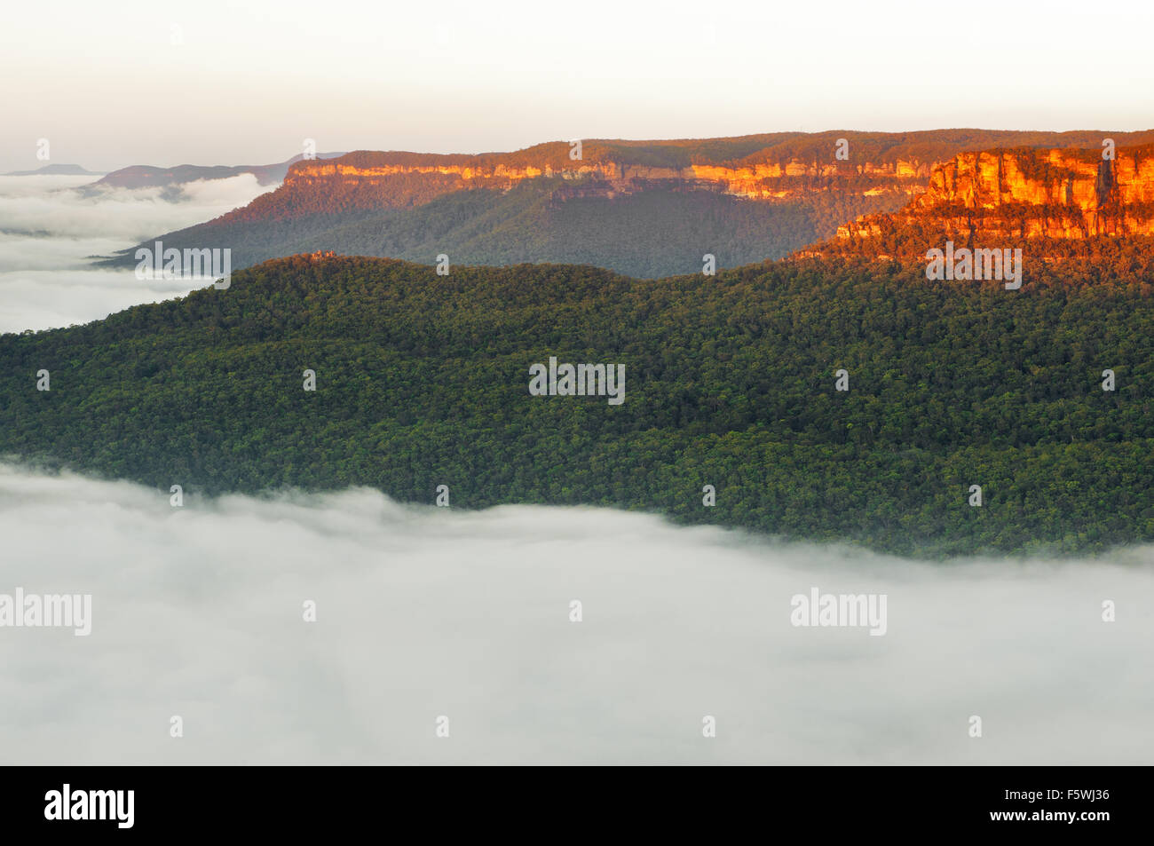 Der schmale Hals des Blue Mountain im frühen Morgenlicht. Stockfoto