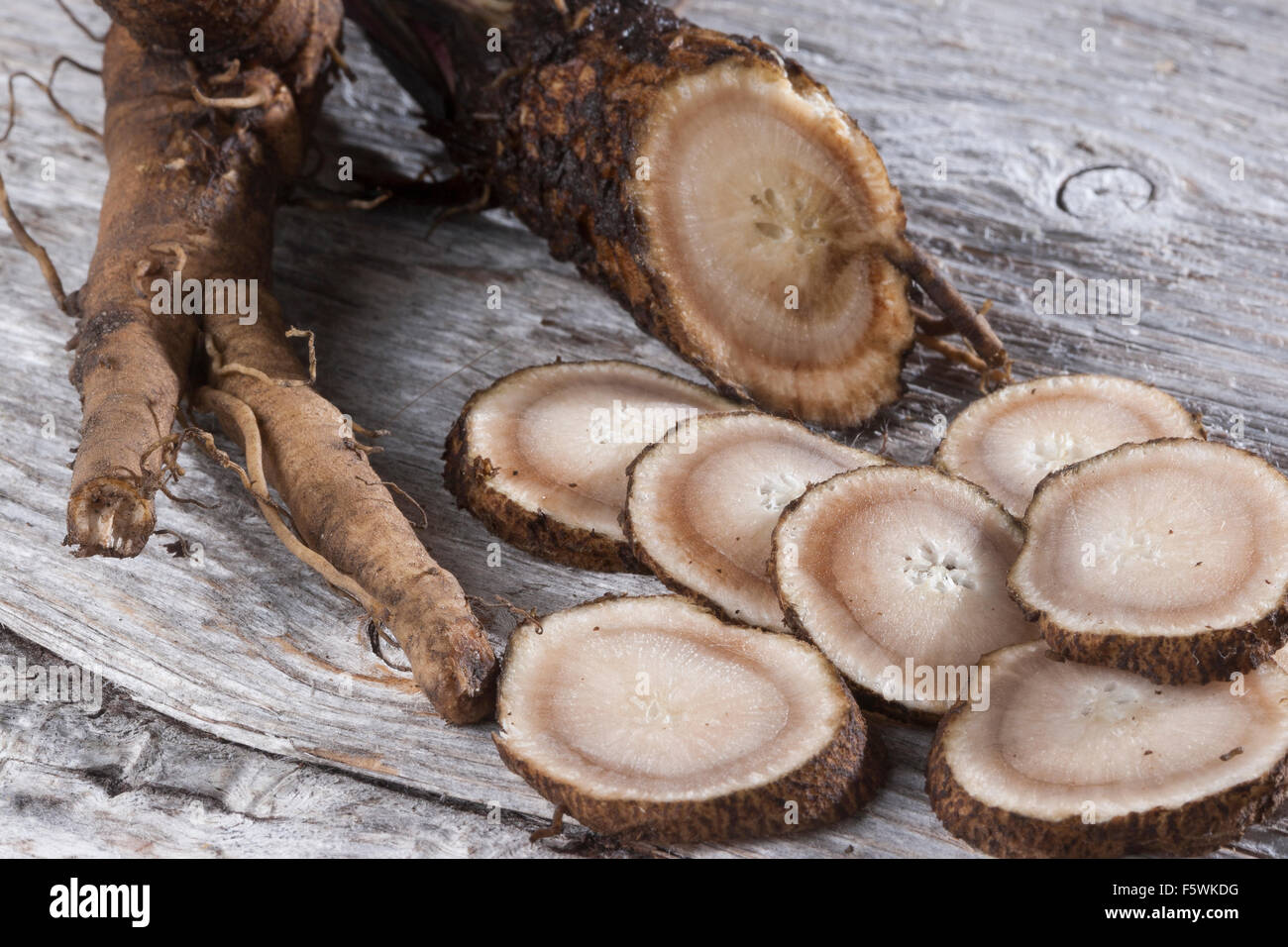 Essbare Klette, große Klette, Wurzeln, Wurzelstock, Große Klette, Grosse Klette, Wurzel, Wurzeln, Klettenwurzel, Arctium Lappa Stockfoto