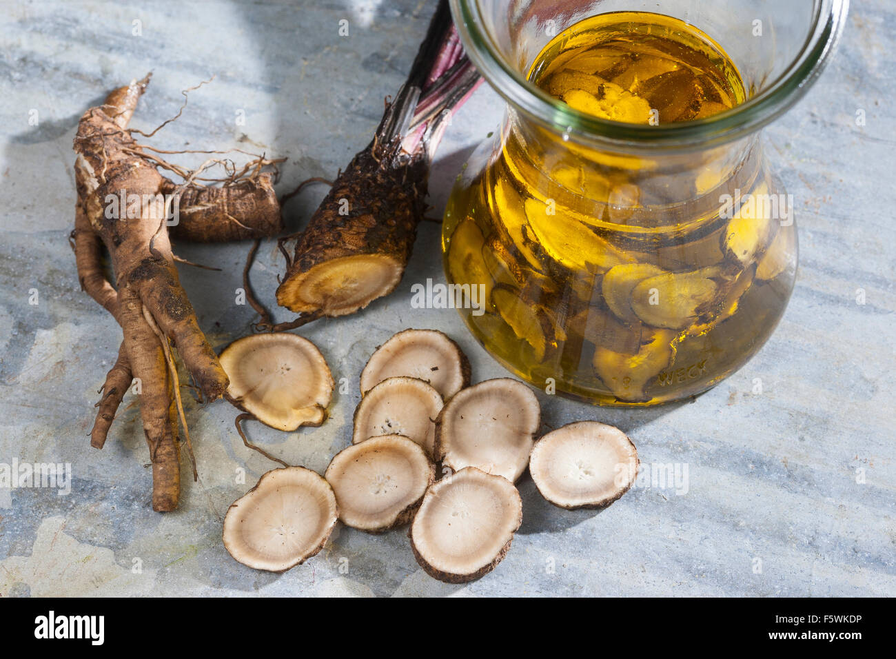 Essbare Klette, große Klette, Wurzeln, Wurzelstock, Große Klette, Grosse Klette, Wurzel, Wurzeln, Klettenwurzel, Arctium Lappa Stockfoto