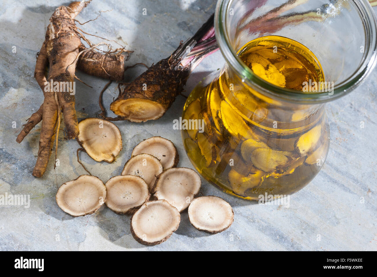 Essbare Klette, große Klette, Wurzeln, Wurzelstock, Große Klette, Grosse Klette, Wurzel, Wurzeln, Klettenwurzel, Arctium Lappa Stockfoto