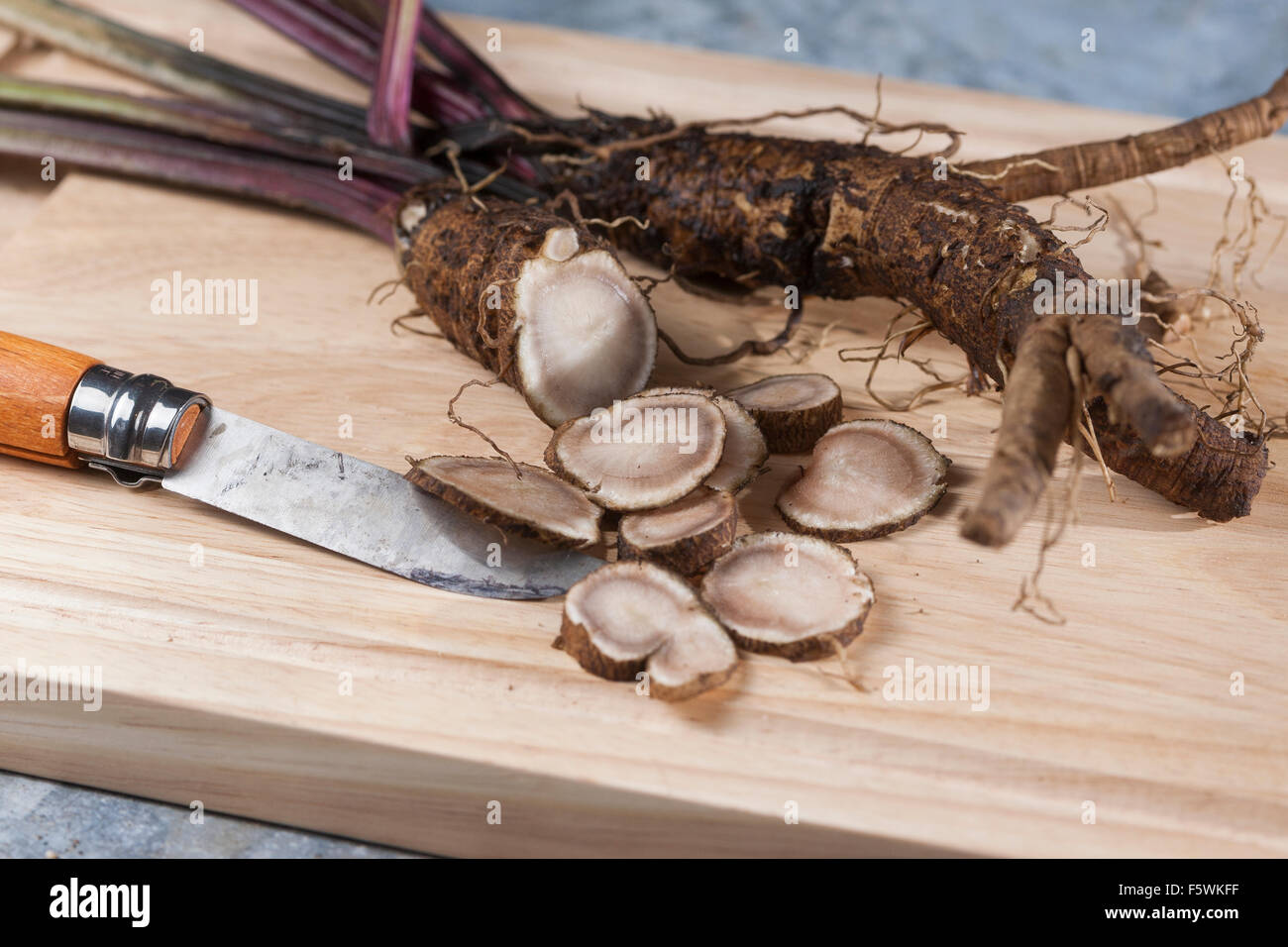 Essbare Klette, große Klette, Wurzeln, Wurzelstock, Große Klette, Grosse Klette, Wurzel, Wurzeln, Klettenwurzel, Arctium Lappa Stockfoto