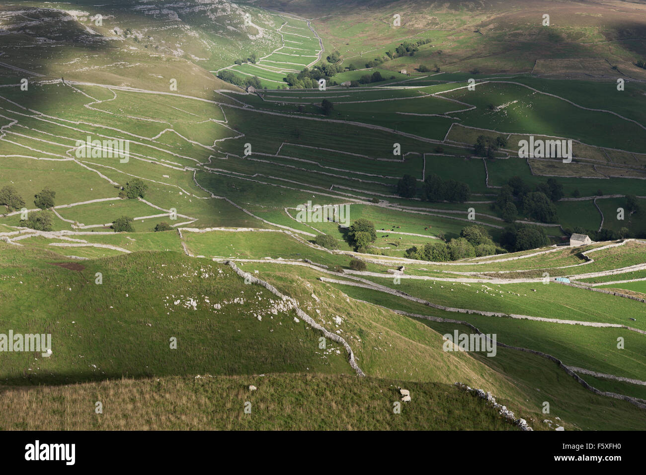 Blick über die Trockenmauern von Malham, Malhamdale, Yorkshire Dales, Shorkley Hill, North Yorkshire, UK Stockfoto