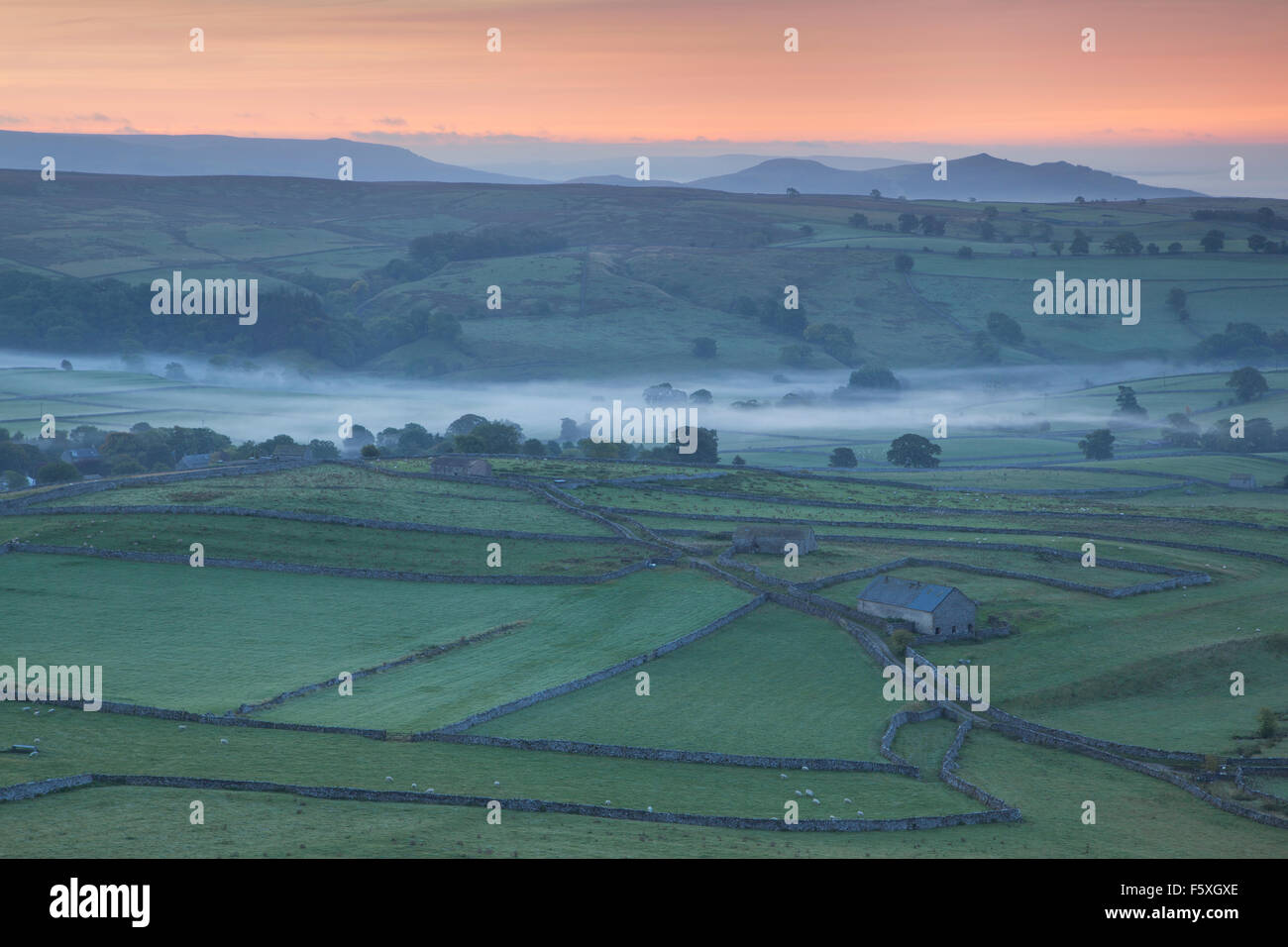 Blick Richtung scharf Haw und Malham Dorf im Spätsommer (September), Malhamdale, Yorkshire Dales, North Yorkshire, Großbritannien Stockfoto