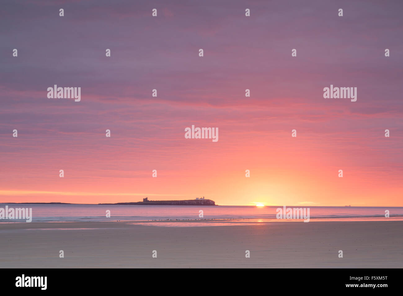 Farne Islands von Bamburgh Strand, Northumberland, UK Stockfoto