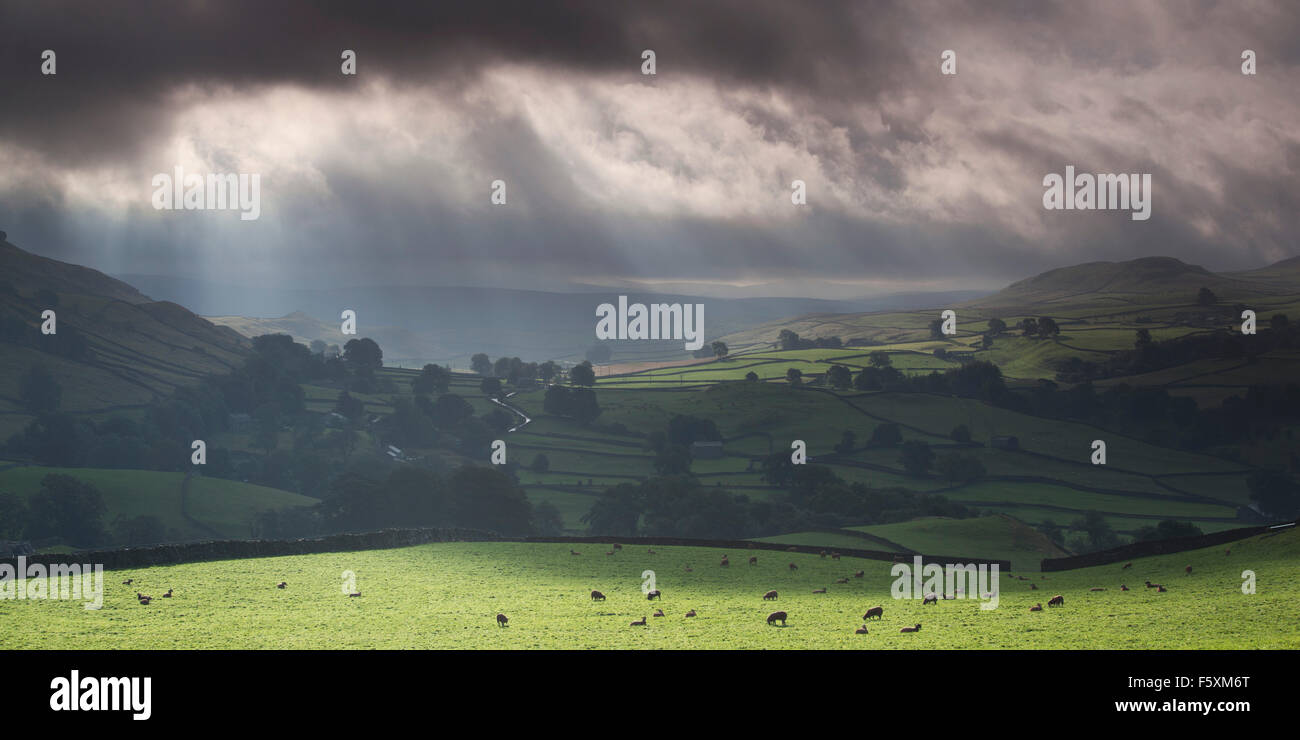 Nähert sich Gewitterwolken über dem Austwick, in der Nähe von Crummackdale, Yorkshire Dales, North Yorkshire, UK Stockfoto