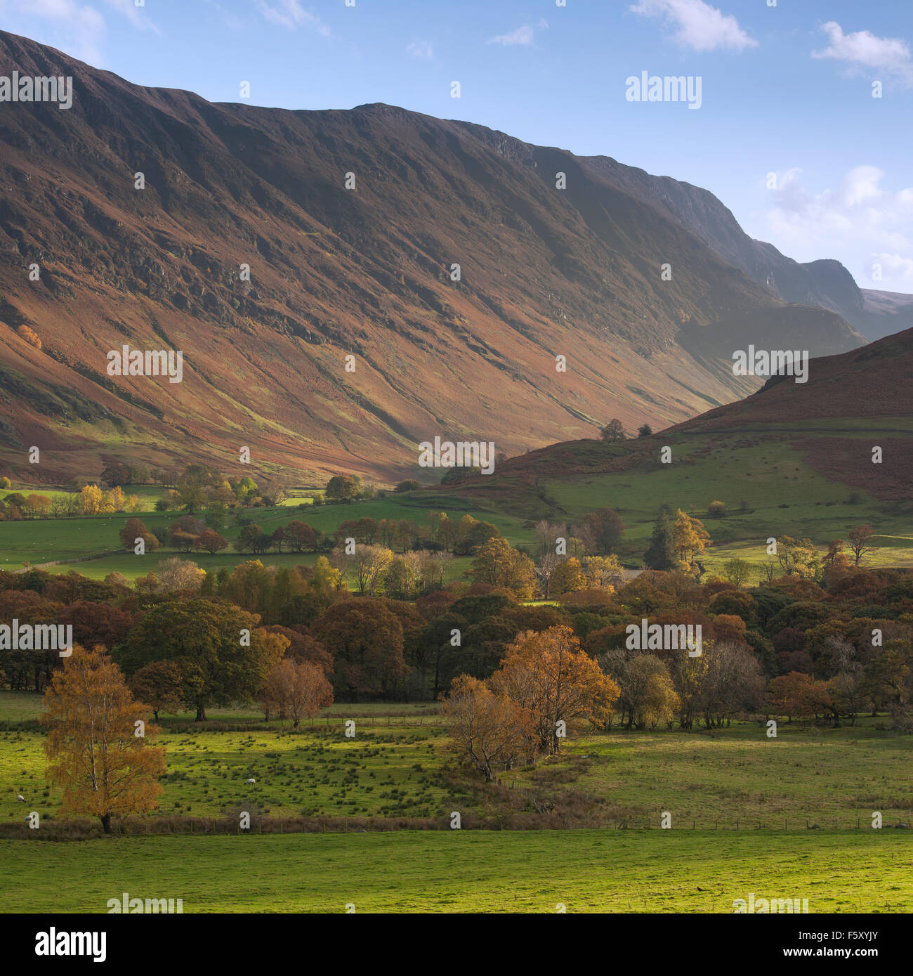 Blick ins Tal Newlands unter den Hängen des Catbells im Herbst (November), Lake District, Cumbria, UK Stockfoto