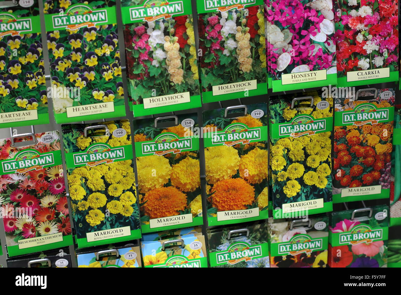 Blumensamen für Verkauf in Pakete Stockfoto