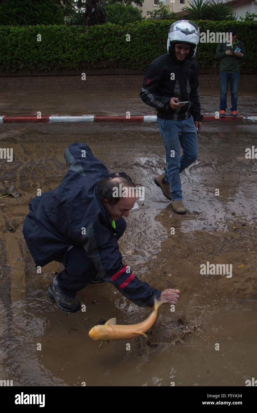 Jerusalem, Israel. 9. November 2015. Ein Mann versucht, fangen Sie einen Fisch in einer überfluteten Straße, nach heftigen in Ashkelon, Südisrael, am 9. November 2015 Regenfällen. © JINI/Albert Sadikov/Xinhua/Alamy Live-Nachrichten Stockfoto