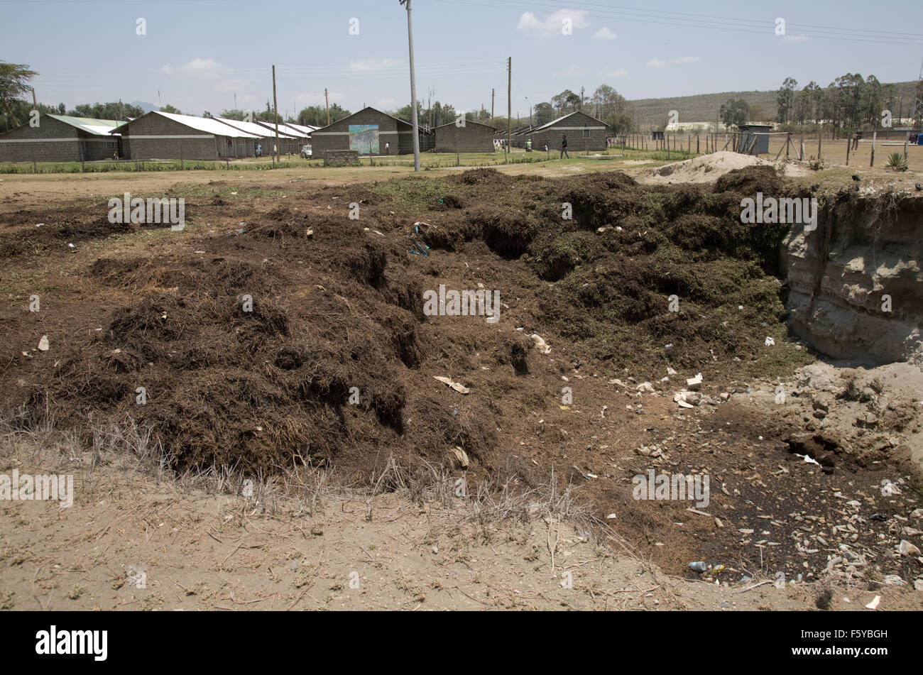 Abfälle aus der Blumenfarm, in Biogas Fermenter gedumpten am Straßenrand Lake Naivasha Kenia genutzt werden können hätte Stockfoto