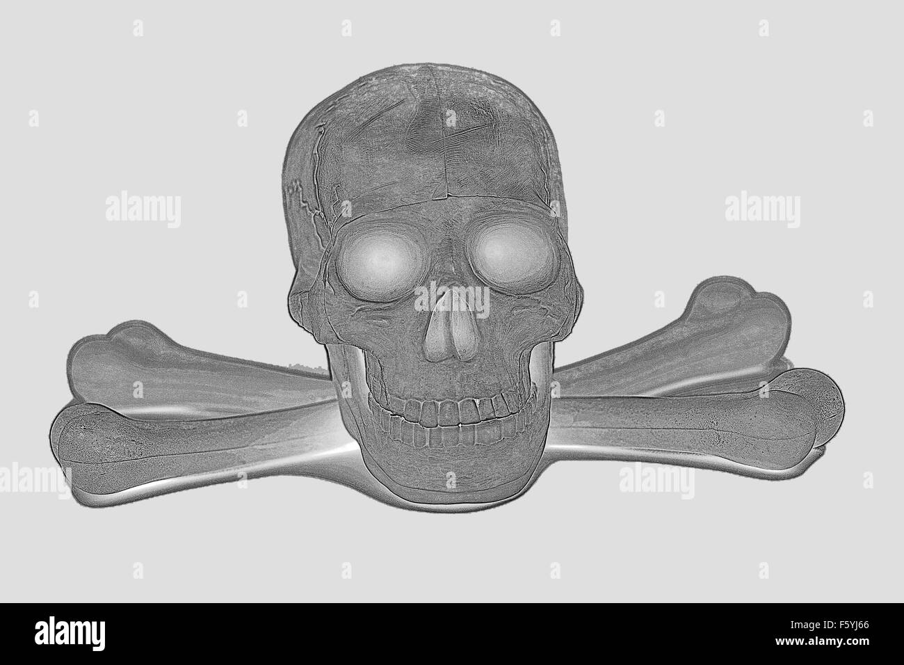 menschlicher Schädel mit gekreuzten Knochen Stockfoto