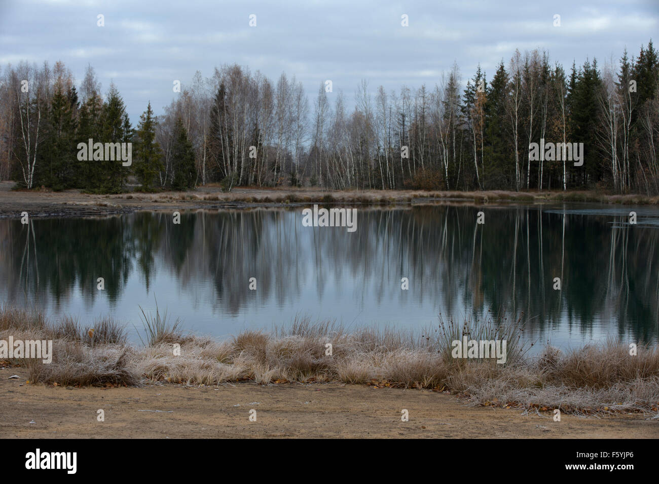 Herbst Wald rund um den See in einem verlassenen Steinbruch Stockfoto