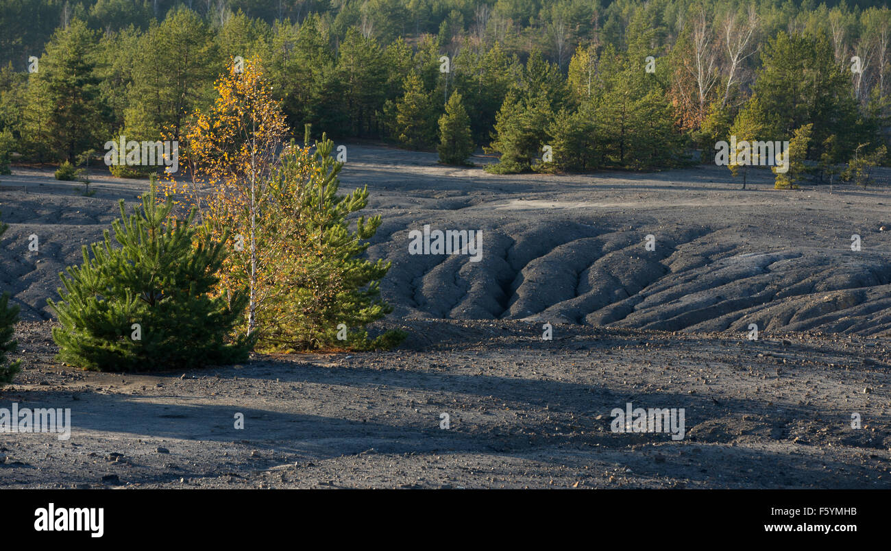 Herbst im verlassenen Steinbruch Stockfoto