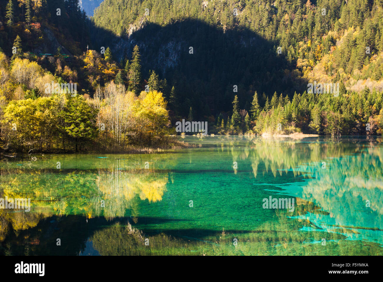 Jiuzhaigou Nationalpark, fünf Blume See ist See in Sichuan, China Stockfoto