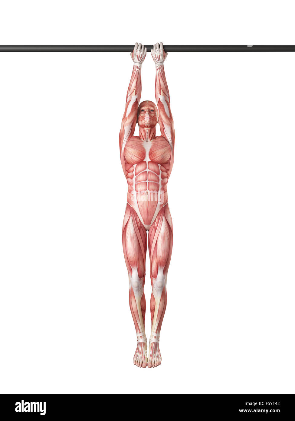 Bewegung Abbildung - enger Griff Kinn bis Stockfoto