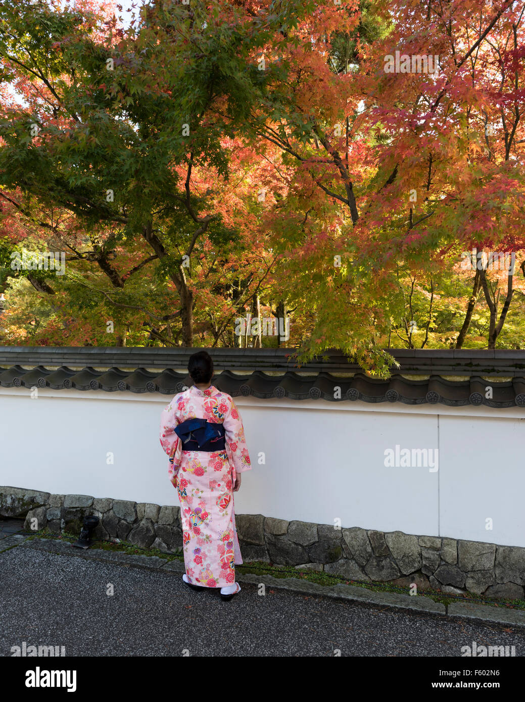 Kyoto, Japan, 10. November 2015. Ein weibliche Besucher, gekleidet in Kimono am Zenrinji Eikando Tempel beteiligt sich an Momijigari Stockfoto