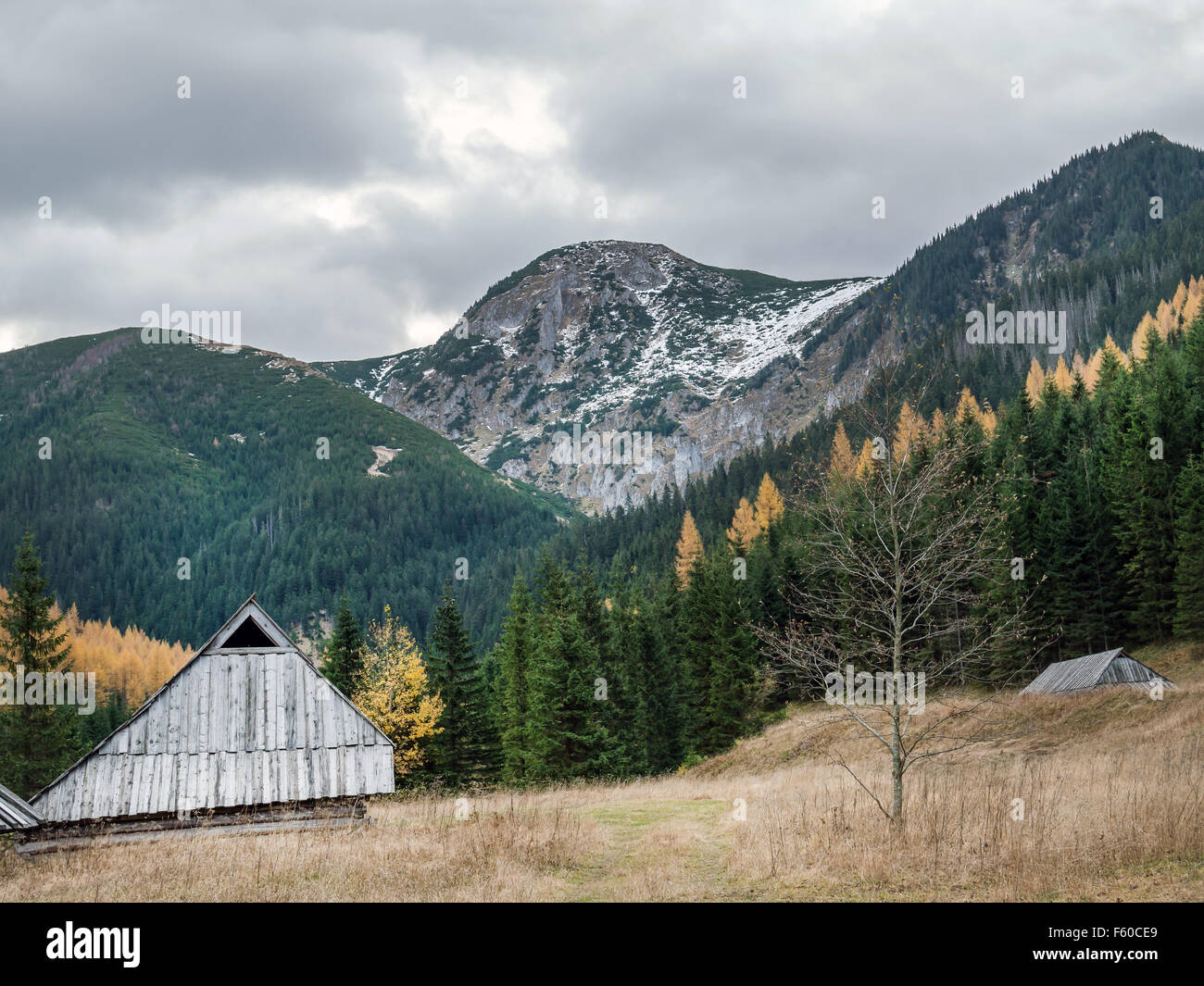 Alte hölzerne Schäferhütte auf der Weide am Fuße der hohen Tatra, Polen Stockfoto