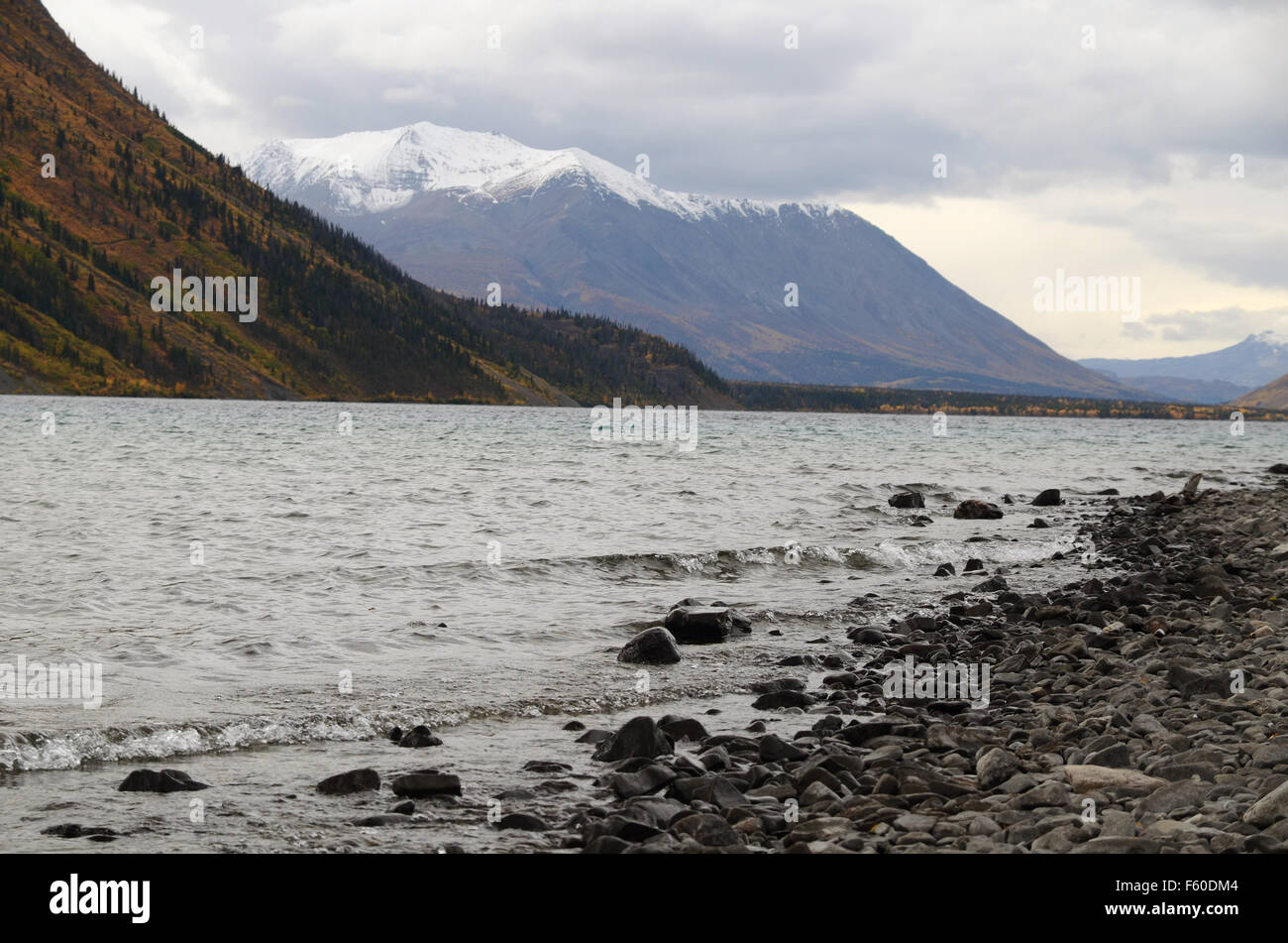 Dezadeash Lake, Yukon, Kanada Stockfoto