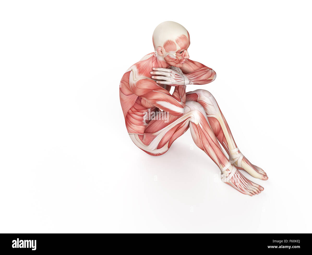 Bewegung Abbildung - negative situp Stockfoto