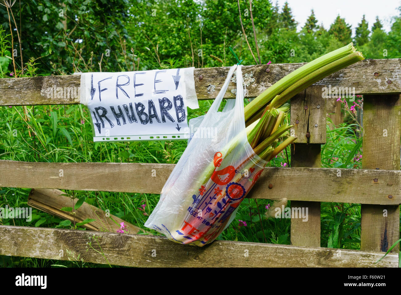 Bauernhof Tor Rhabarber und Gemüse zu verkaufen. Stockfoto