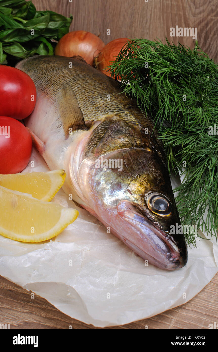 Roher Fisch Zander auf einem Papier in der Nähe von Gemüse Stockfoto