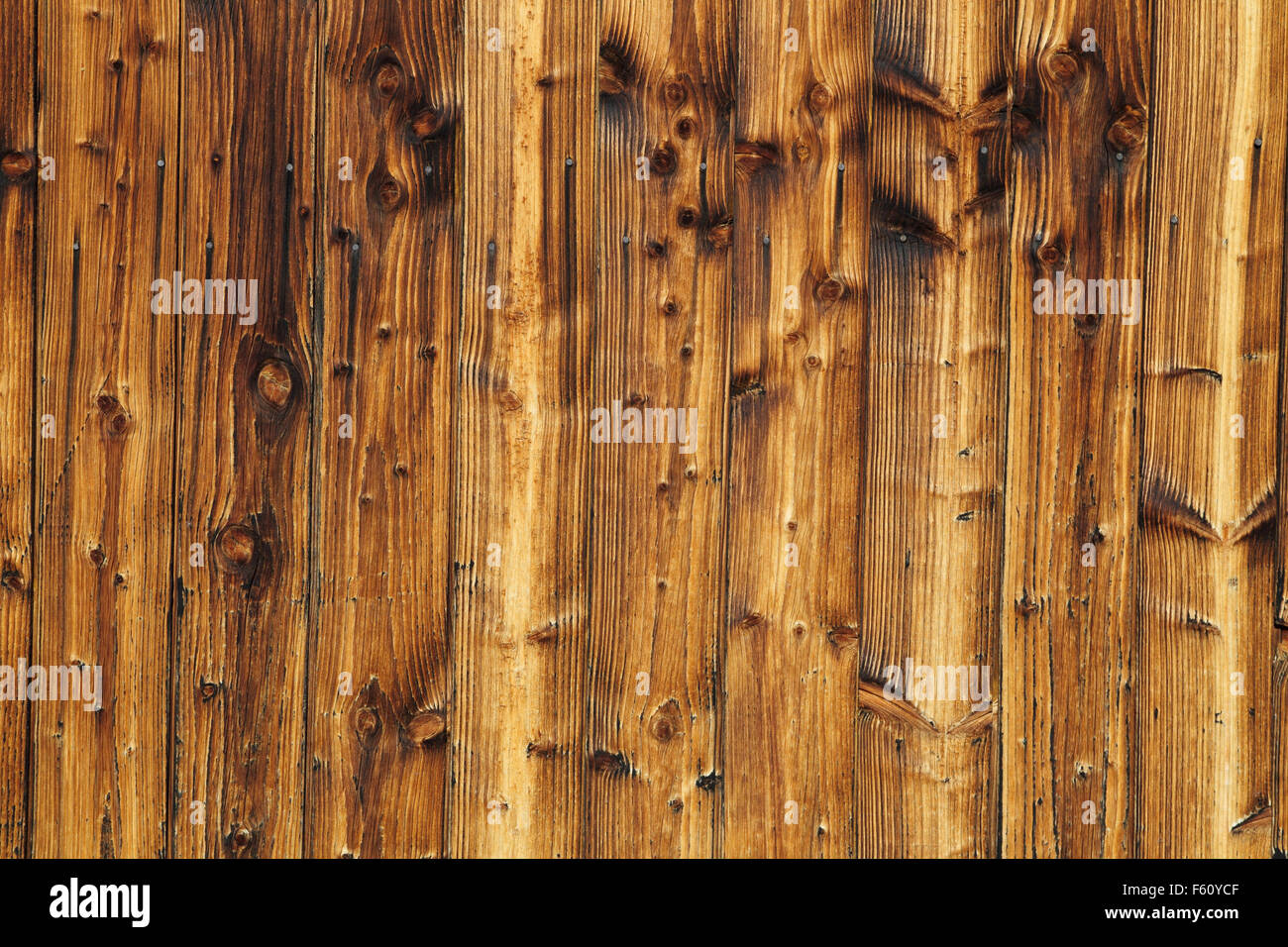 Natürlichen Hintergrund der Holzbohlen mit feinen Details der hölzerne Korn. Stockfoto