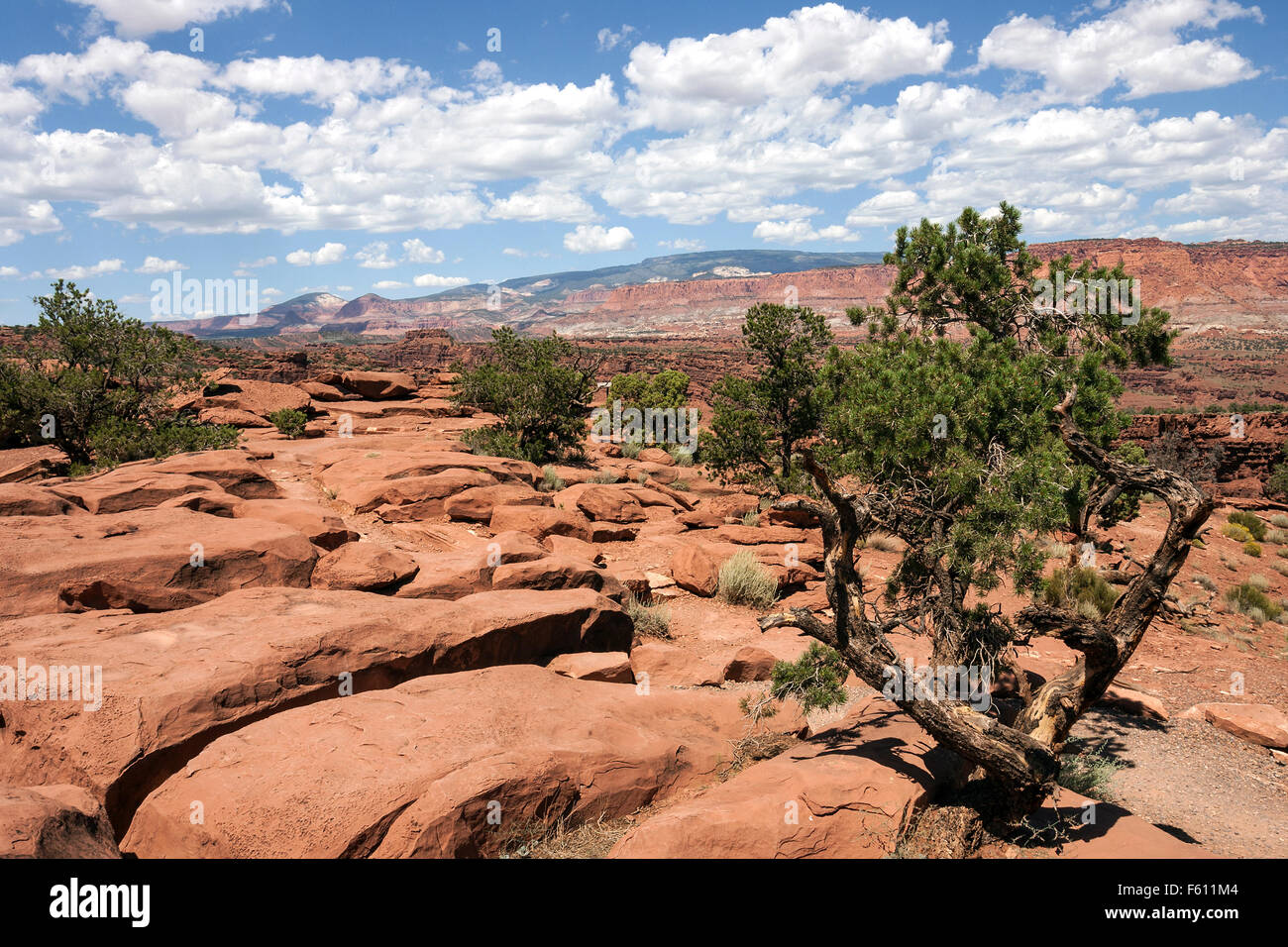 Landschaft und Felsformationen in der Nähe von Gossenecks übersehen, Capitol Reef National Park, Utah, USA Stockfoto