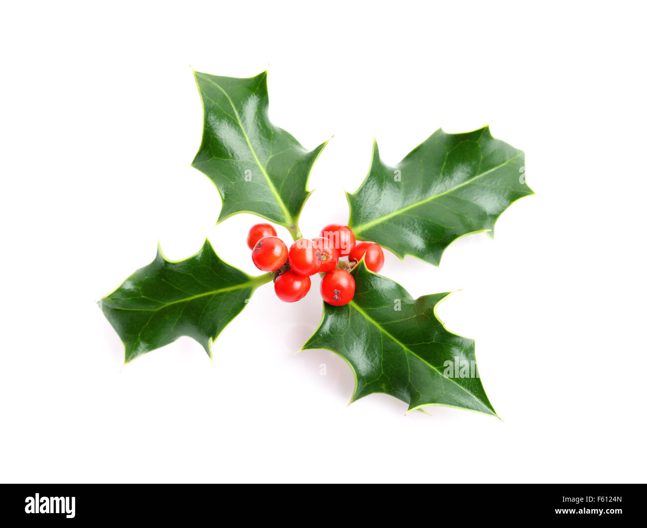 Weihnachten Urlaub Holly Dekoration Stockfoto