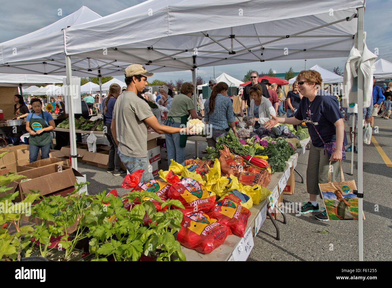 Süden Anchorage Farmers Market, frisch geerntete Gemüse, Verkäufer, die Kommunikation mit Kunden. Stockfoto