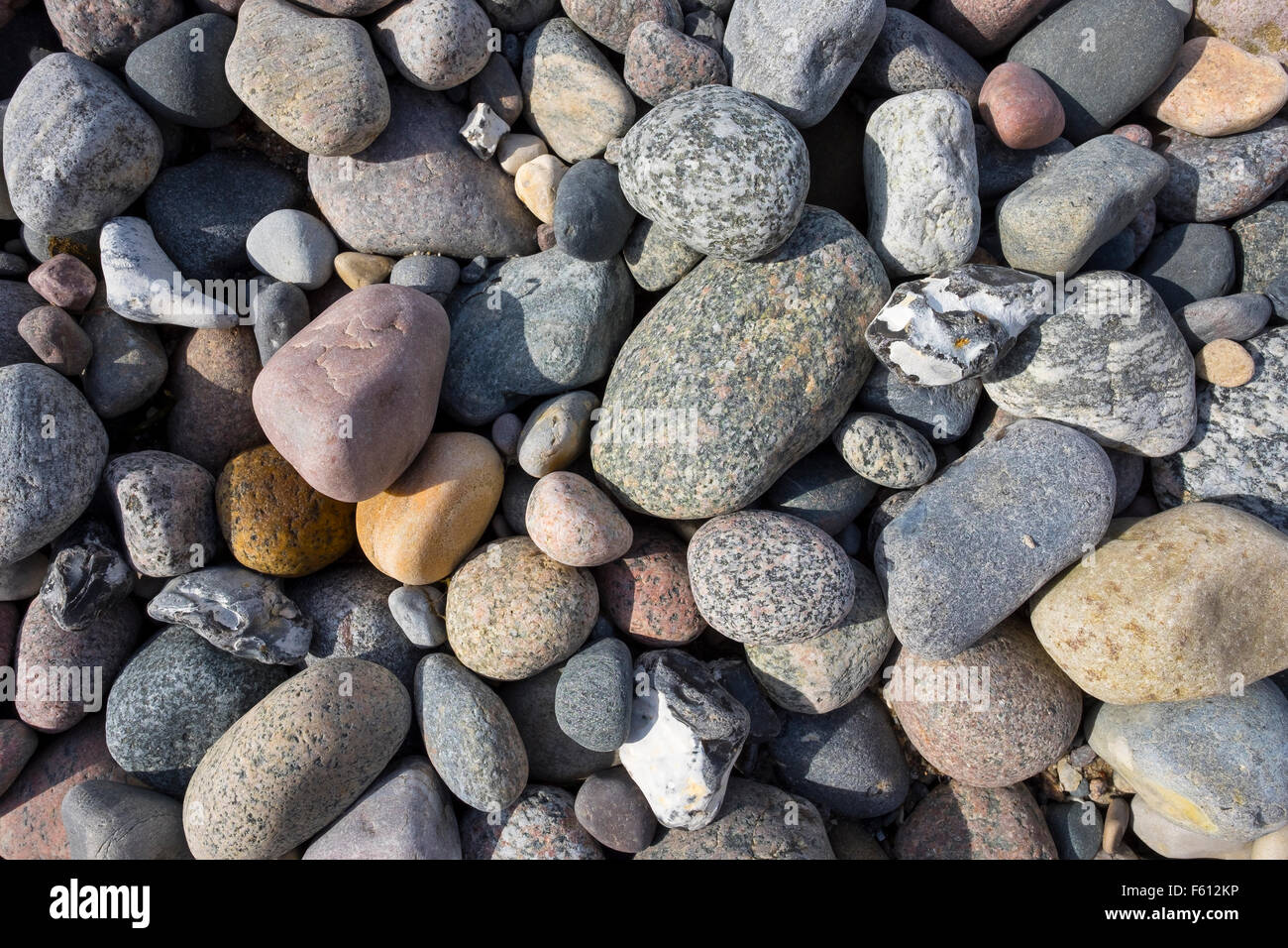 Verschiedenen Kieselsteine am Strand der Ostsee, Ahrenshoop, Fischland, Fischland Zingst, Mecklenburg-Western Pomerania, Deutschland Stockfoto