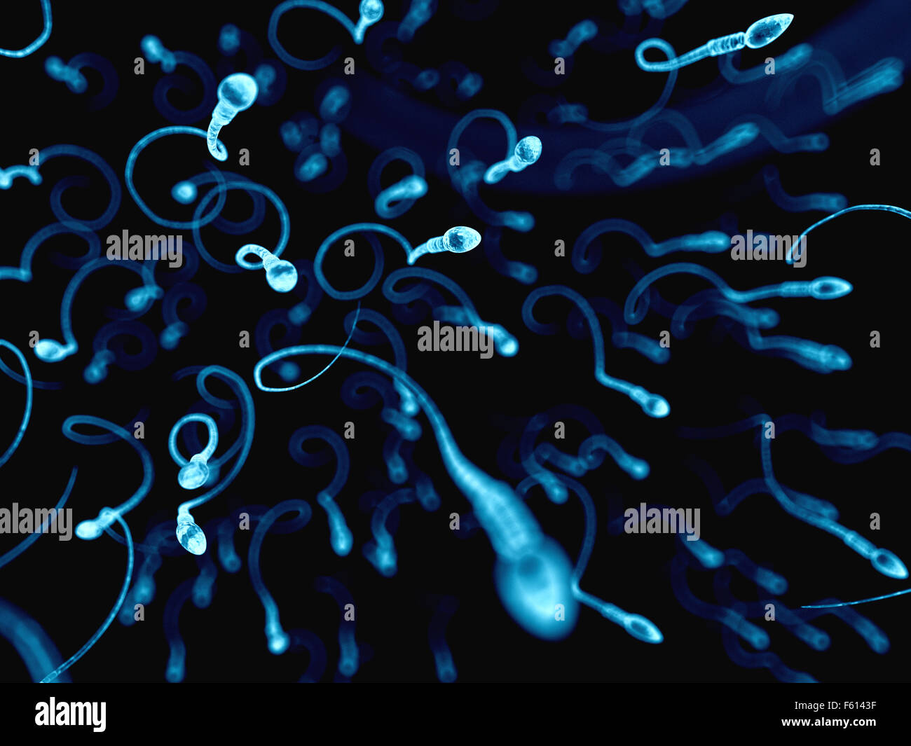 Sperm Stockfotos & Sperm Bilder Alamy