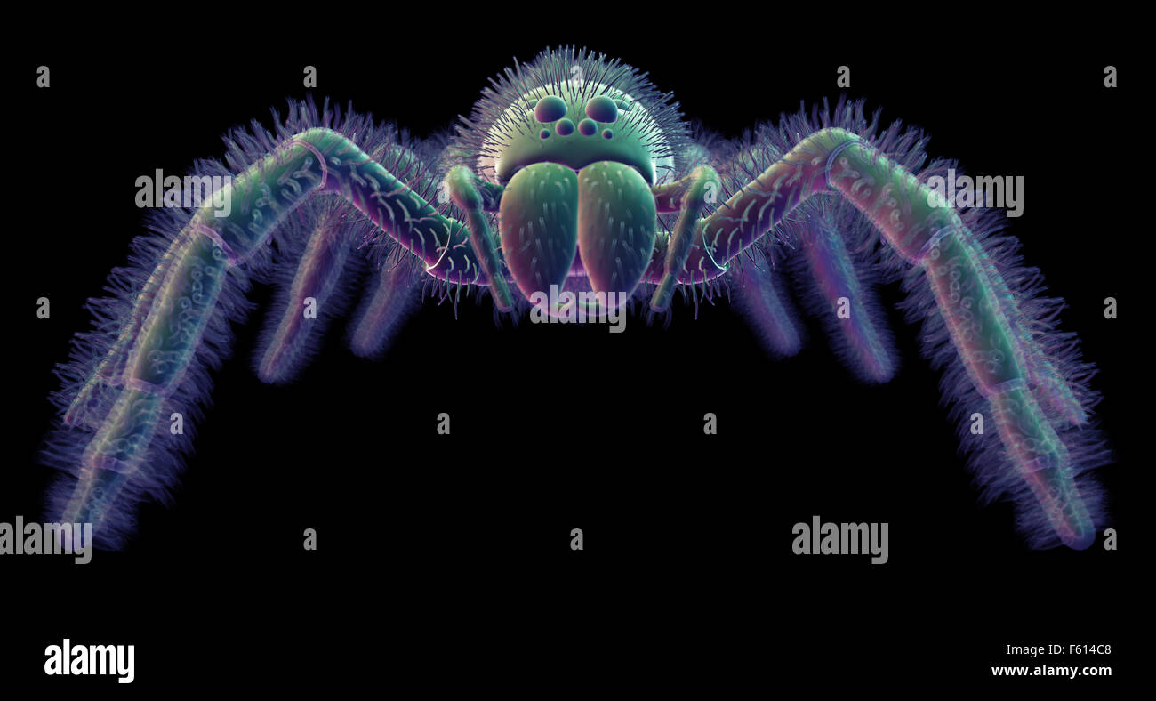 SEM Stil Abbildung einer Spinne Stockfoto