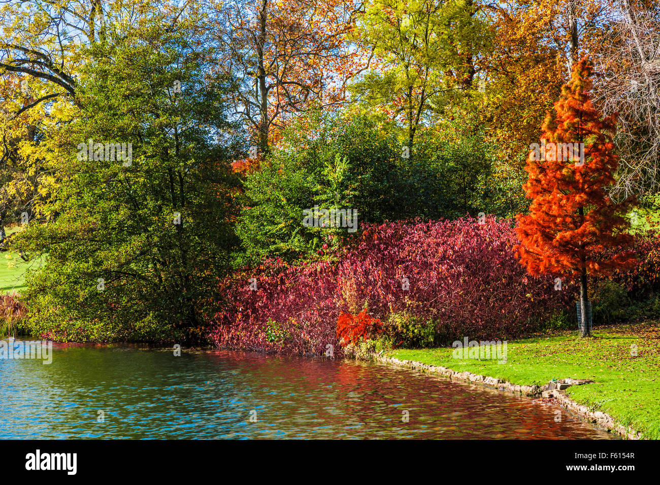 Herbstfarben am See im Bowood House in Wiltshire. Stockfoto