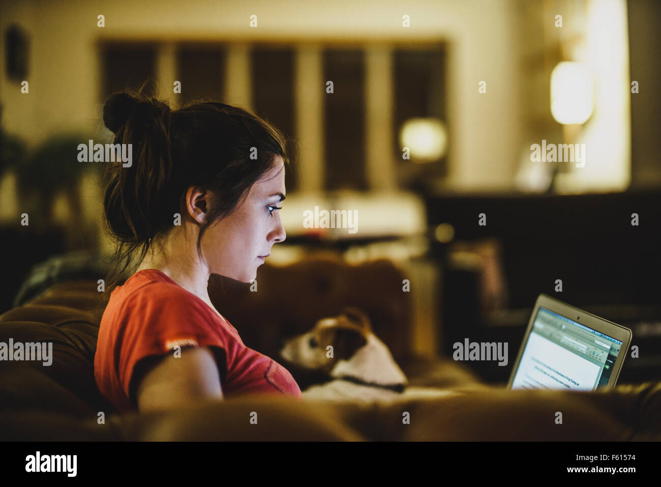 Eine junge Frau, die im Laufe des Abends mit ihrem Hund im Hintergrund auf ihrem Laptop arbeiten Stockfoto