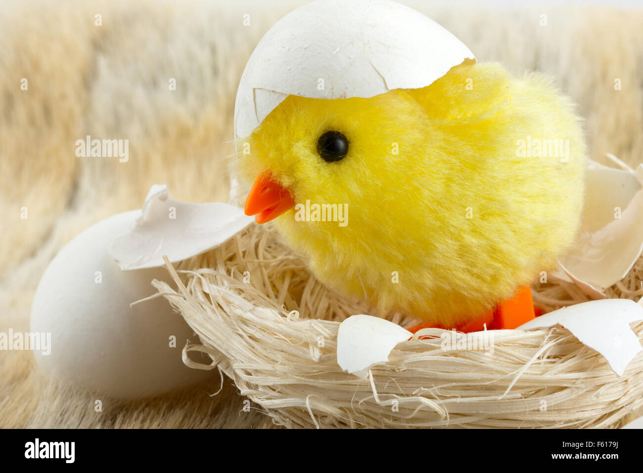 Spielzeug-Küken mit Eierschale im nest Stockfoto