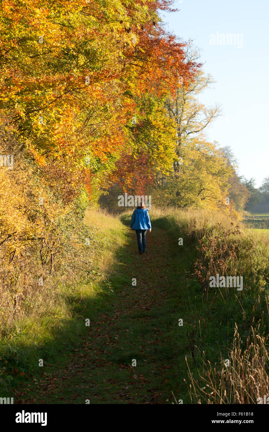Eine Frau zu Fuß auf den Pfad der Icknield Way, Woodditton, Cambridgeshire East Anglia UK Stockfoto