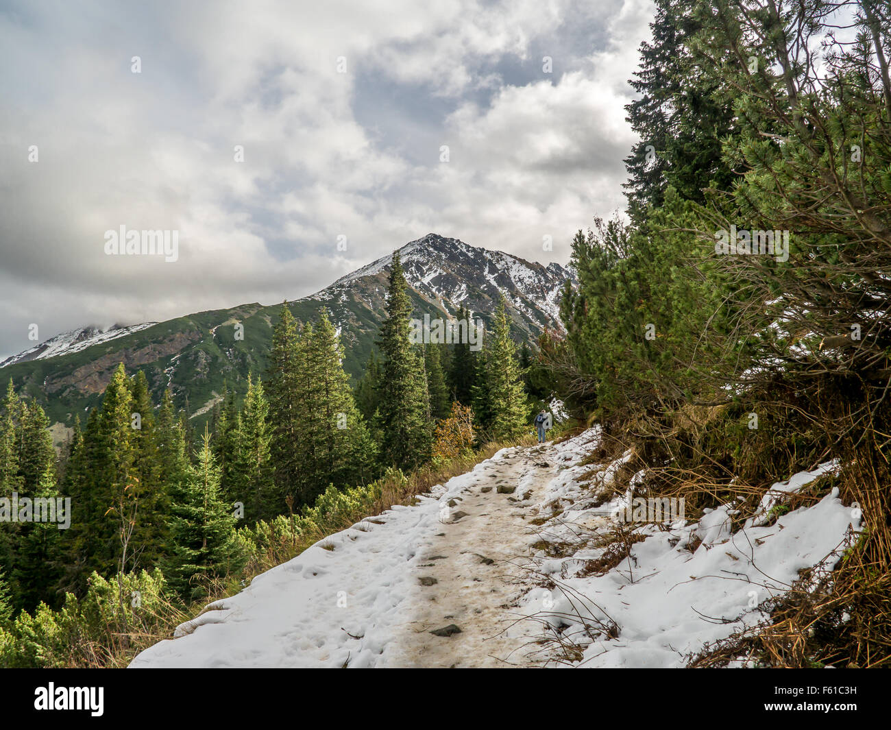 Alpinen touristischen Trail von Murowaniec nach Czarny Staw in Hohe Tatra, Polen Stockfoto